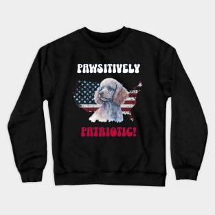 4th of July Independence Day Patriotic Poodle Funny Design for Dog Lovers Crewneck Sweatshirt